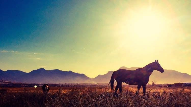 Signed Mountain Landscape 5x7 Photo