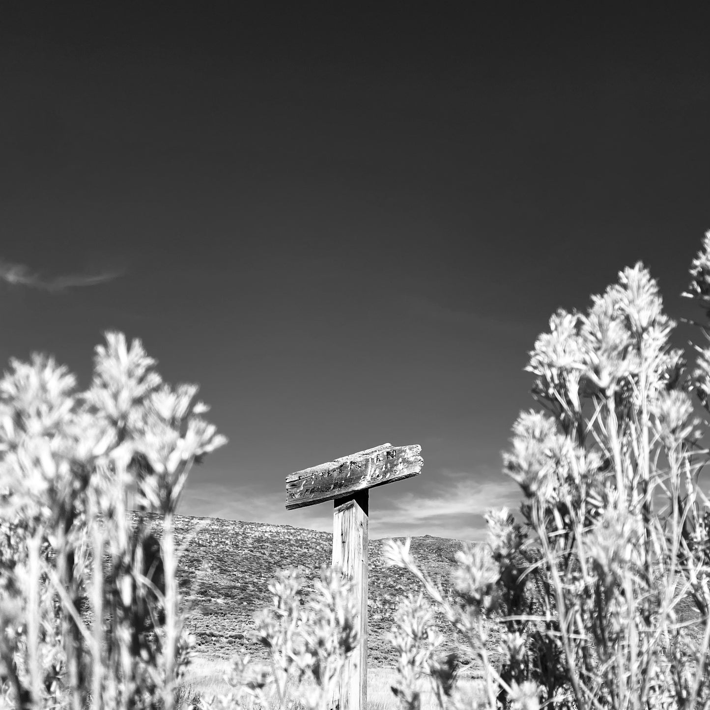 Signed Bodie, California Ghost Town 5x7 Print