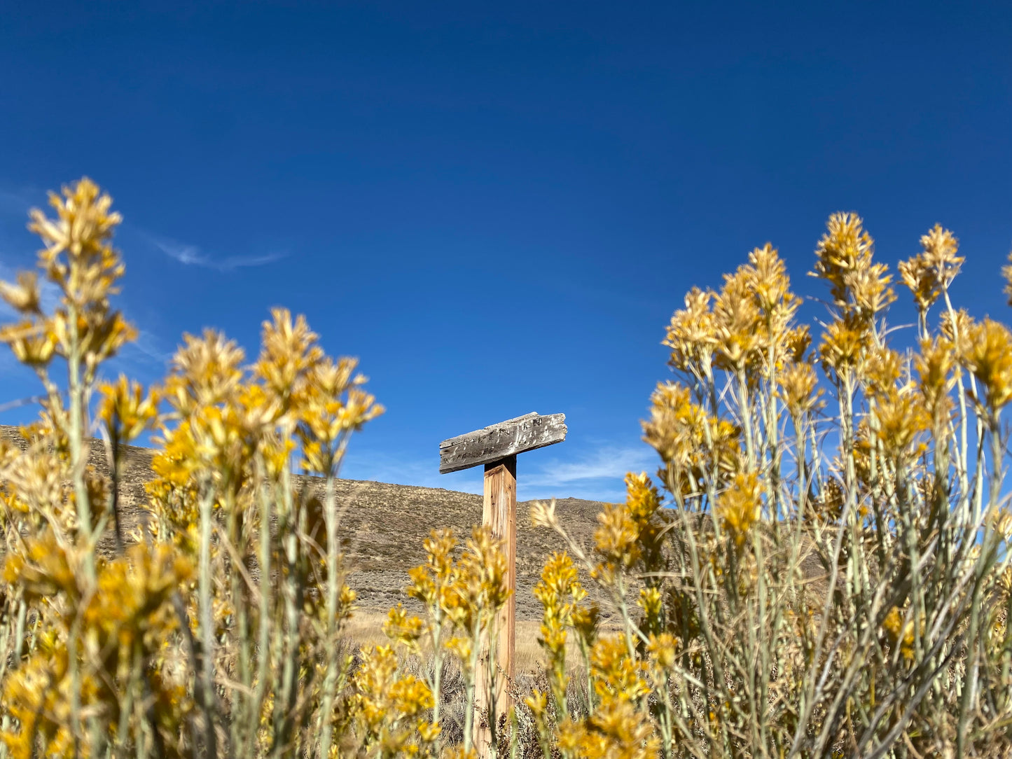 Signed Bodie, California Ghost Town 5x7 Print