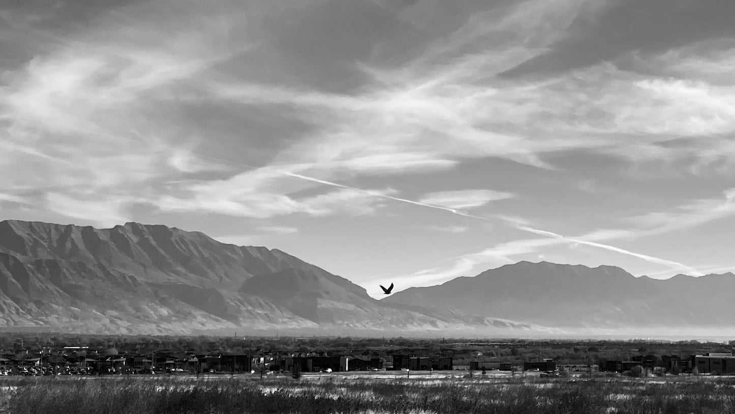 Signed Mountain Landscape 5x7 Photo